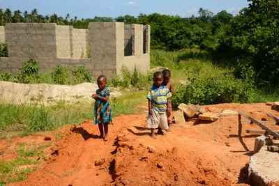 DSC_8652 (Large).JPG